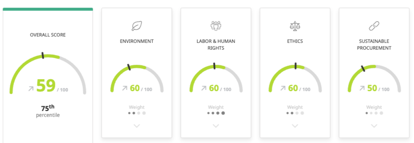 Ecovadis scores